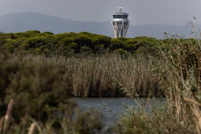 La torre de control del aeropuerto de El Prat, junto a la laguna del espacio natural de La Ricarda.