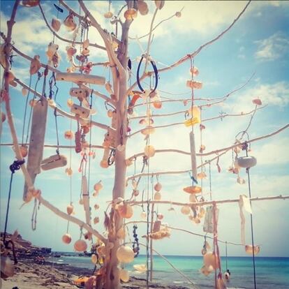 Sí vas a Formentera no dejes de hacerle una foto a este árbol tan original.