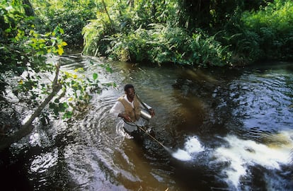 Cebos humanos para acabar con las moscas que causan la ceguera en Nigeria