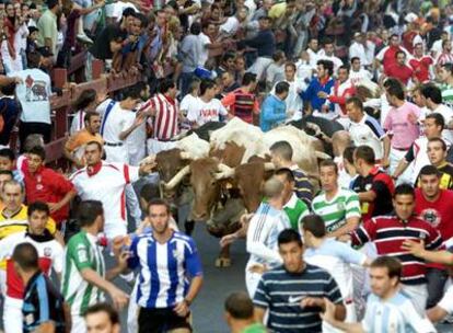 Los toros de la ganadería Flor de Jara, en el primer encierro de San Sebastián de los Reyes.
