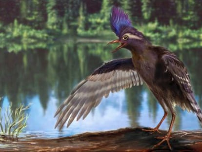 Reconstrucción del 'Archaeornithura meemannae', que vivió en el cretácico temprano.