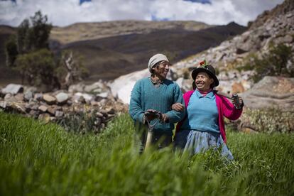 Campesinos cómplices. Perú.