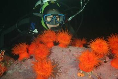 La bióloga marina Vreni Häussermann en una de sus expediciones enla Patagonia chilena. (Foto: Rolex)