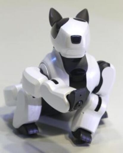 Perro robot Genibo