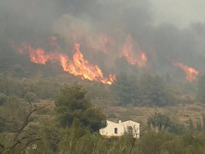 El fuego quema el monte a los pies de El Montgó, en Dénia.