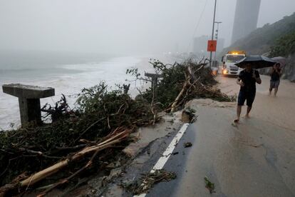 Un hombre pasa junto a los rboles arrancados en el rea de un carril bici en la avenida de Niemeyer, junto a la playa de Sao Conrado.