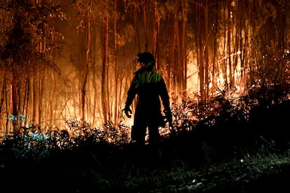 Incendios forestales en Chaimávida, Chile, el 20 de enero.