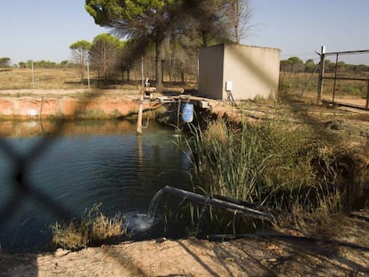 An illegal water deposit used for irrigation around Doñana.