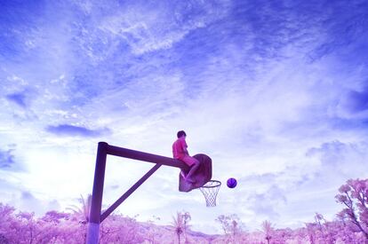 Esta imagen forma parte de una serie llamada The Island of the Colorblind. Muestra un chico daltónico sentado en una canasta de baloncesto en la isla de Pingelap, en la Micronesia. A finales del siglo XVIII, un tifón asoló Pingelap. Uno de los supervivientes tenía el raro gen de la acromatopsia -que causa el daltonismo completo-, que transmitió a sus numerosos descendientes y afectó a gran parte de la comunidad. El trastorno prevalece en el 10% de la población.