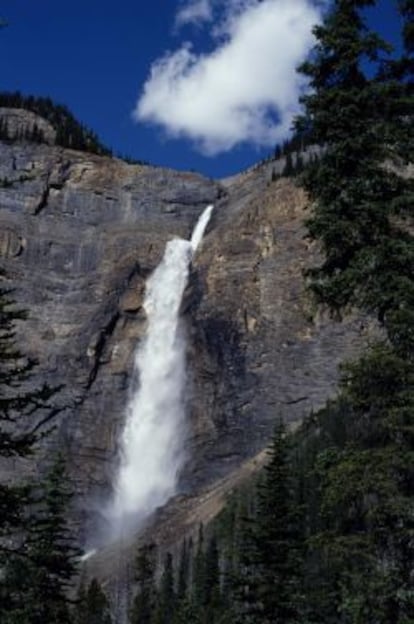 Catarata Takkakkaw, de 254 metros de altura.