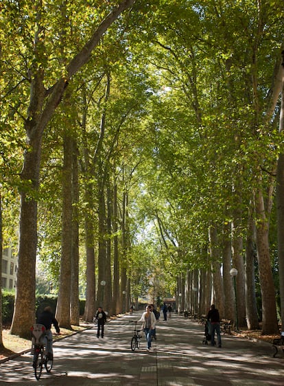 El paseo de la Senda en Vitoria-Gasteiz.