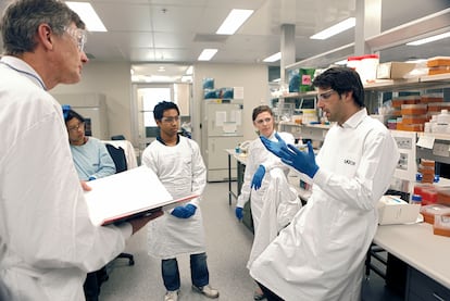 Hosam Zowawi (derecha) habla con sus compañeros investigadores  en la universidad de Queensland.