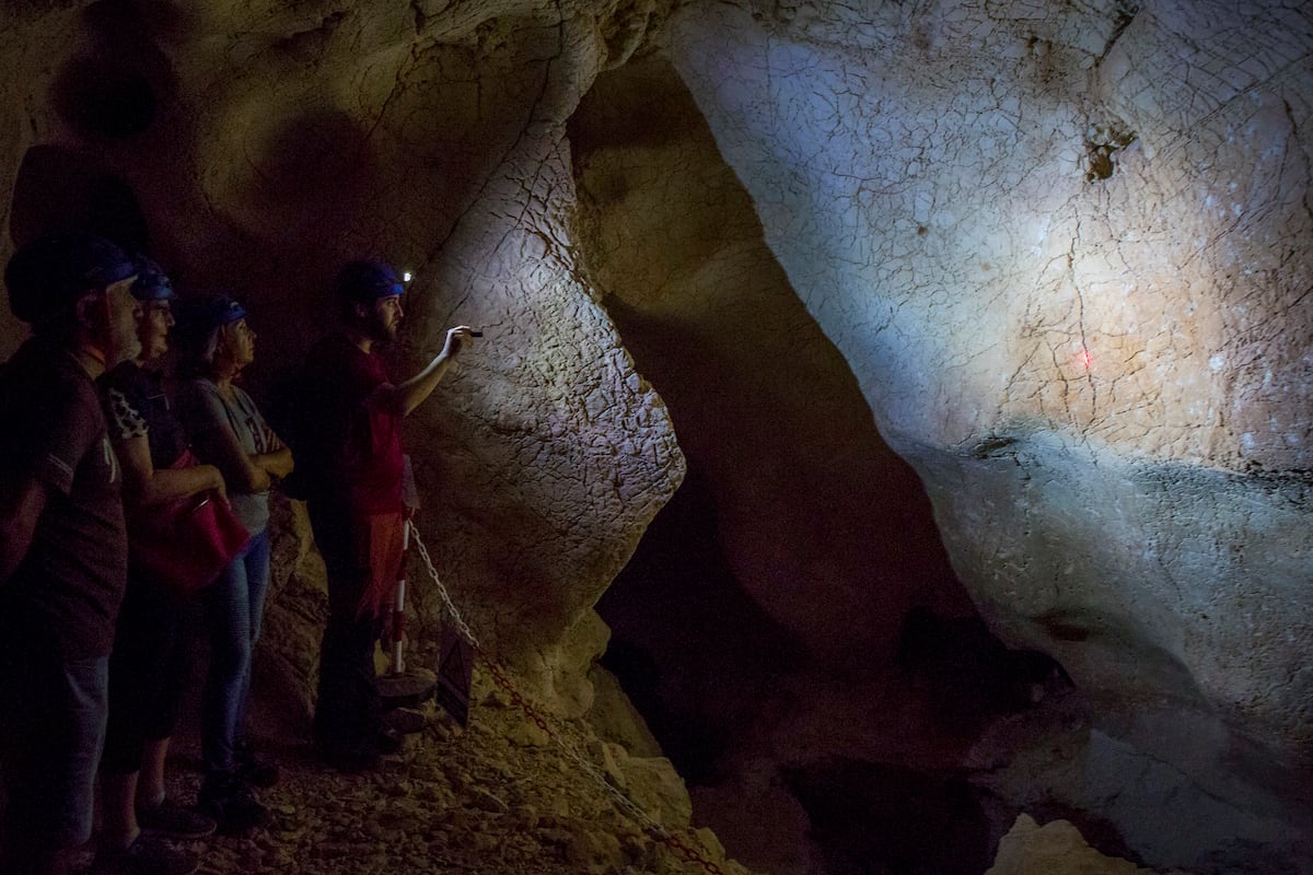 New research aims to solve the riddle of Neanderthal extinction ...
