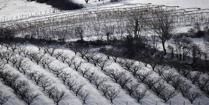 Nevadas en campos de cultivo de Lyon, Francia.