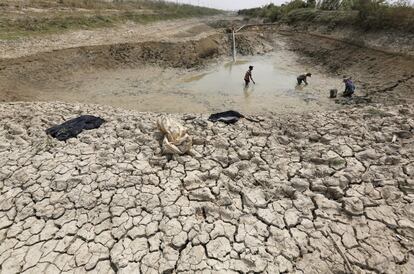 Unos pescadores recogen peces en un estanque seco, afectado por la sequía en la provincia de Kandal, Camboya.