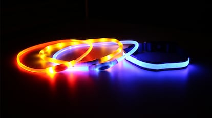mejor collar luminoso perro