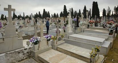 Lápidas en el Cementerio de San Fernando de Sevilla.