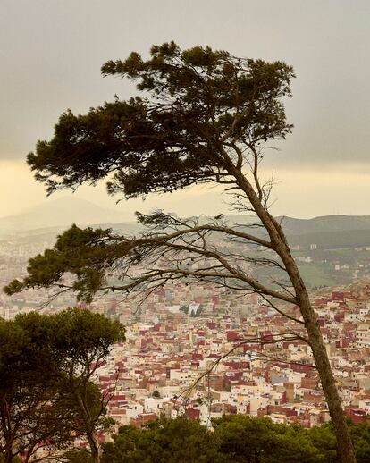 Vistas de la ciudad de Tetuán. 