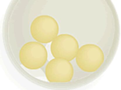 El Senado ultima el trámite de la reforma de la Ley de reproducción asistida