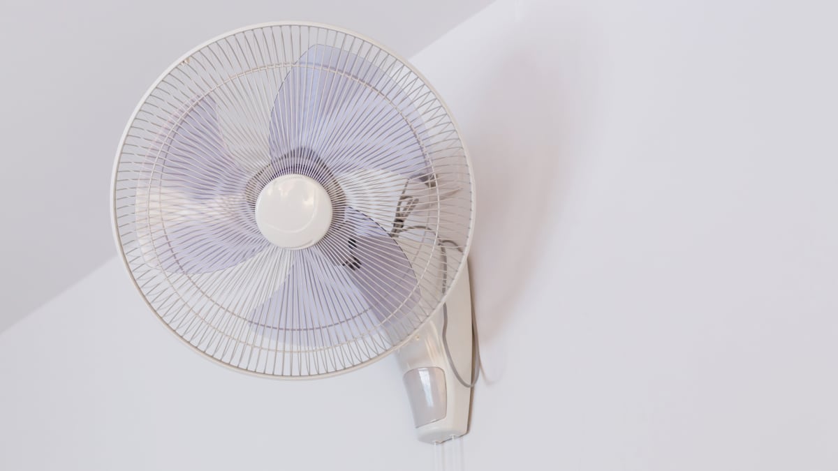 Moderno, flexible y fácil de instalar: disfruta de un flujo de aire refrescante con este ventilador de pared superventas Publicado por Últimas noticias: la última hora de hoy en EL PAÍS