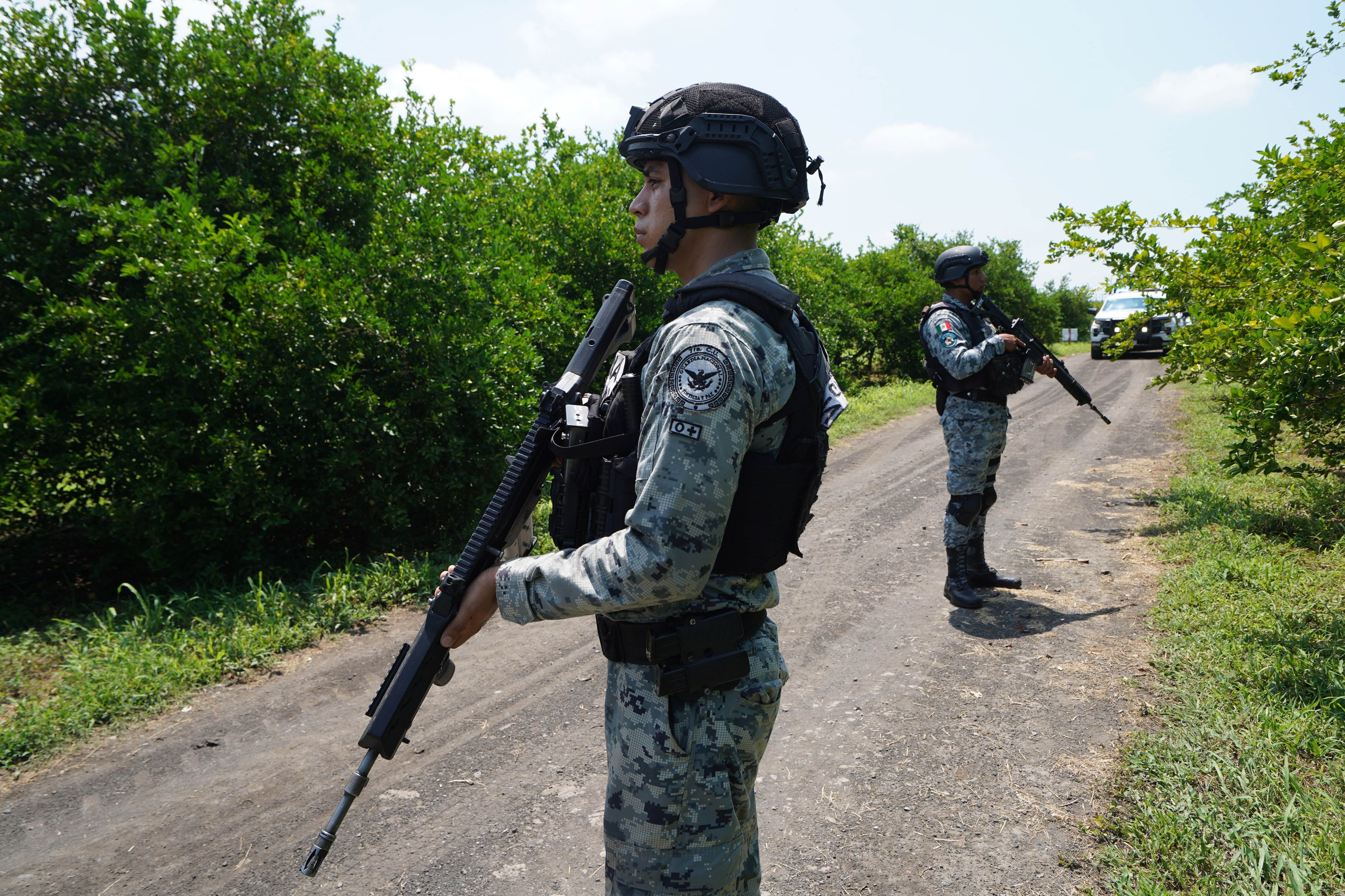 El narco devora el aguacate mexicano