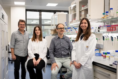 Los integrantes del equipo científico español del Instituto de Investigación Biomédica de Barcelona que han identificado un mecanismo molecular que explica por qué ciertas alteraciones en la proteína neuronal CPEB4 están asociadas con el autismo.
