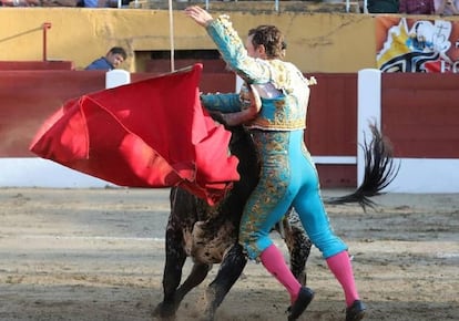 Cornada sufrida por Rafaelillo el pasado 14 de julio en la plaza de Céret.