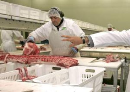 Un trabajado manipula carne en una planta de Campofrío en Burgos. EFE/Archivo