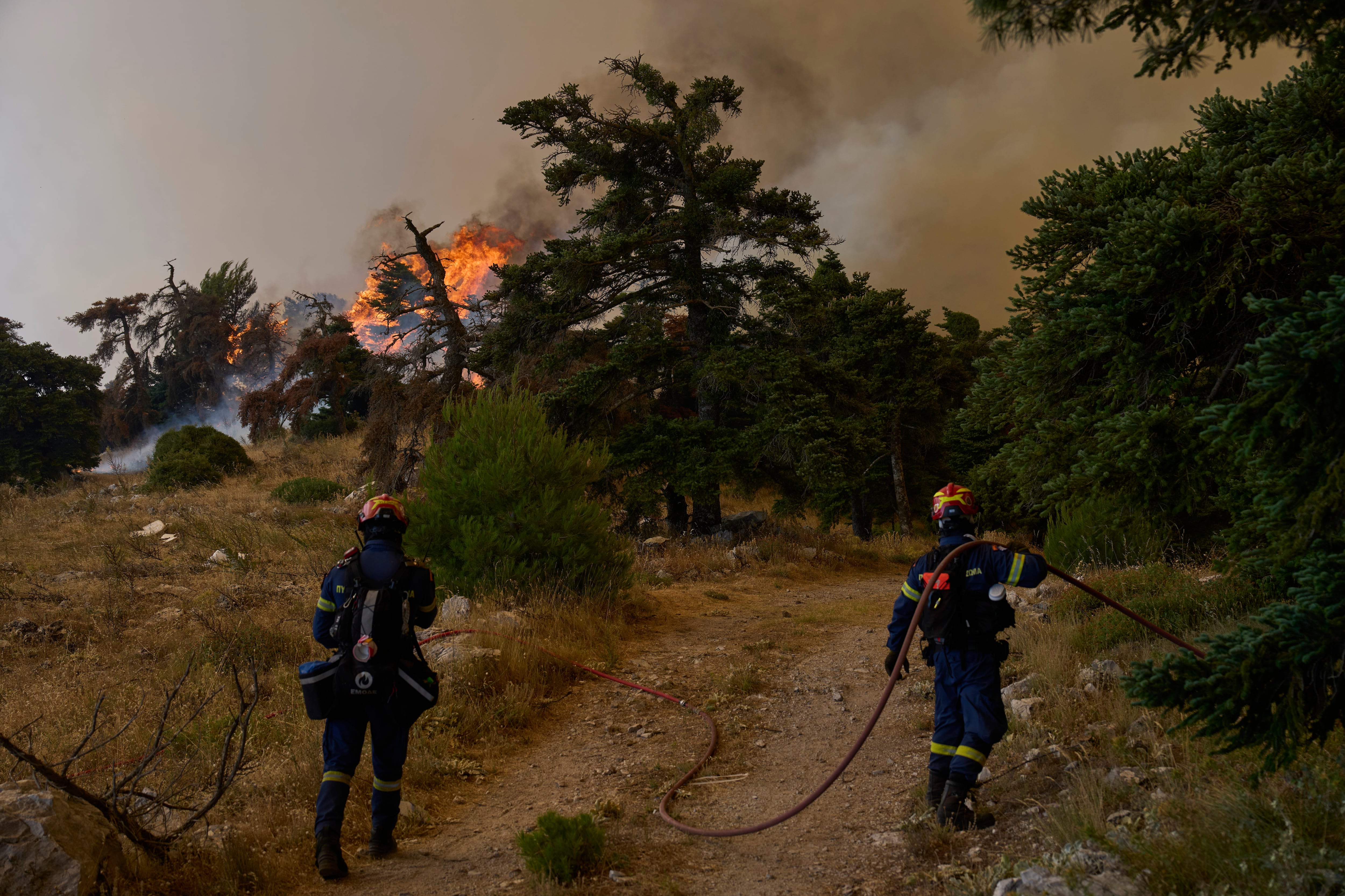 Los incendios de Grecia siguen sin control y se sitúan a unos 30 kilómetros de Atenas