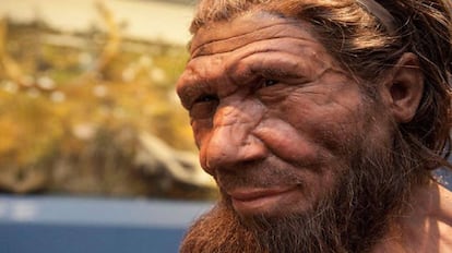 Reconstrucción de un neandertal en el Museo de Historia Natural de Londres.