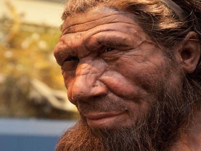 Reconstrução de um Neandertal no Museu de História Natural.