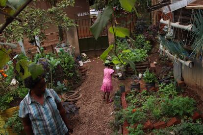 La granja urbana de Harriet Nakabaale, situada en el barrio de Kawaala, en Kampala, es popular entre los vecinos que quieren aprender a cultivar en espacios urbanos.