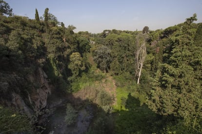 Panoràmica del nou espai per a la diversitat de Montjuïc.