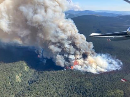 Incendio en la Columbia Británica, en la costa oeste de Canadá, a principios de esta semana. 
