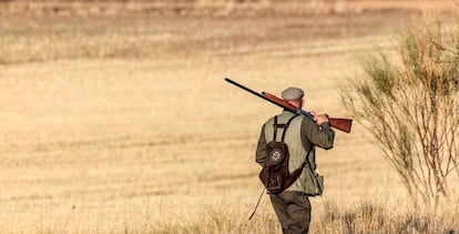 Un cazador en un coto de Castilla-La Mancha.