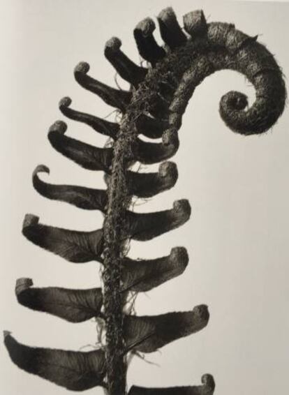 Una de las fotografías de la exposición.
