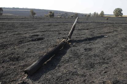 Campos entorno a Villardiegua de la Ribera 24 horas después del fuego