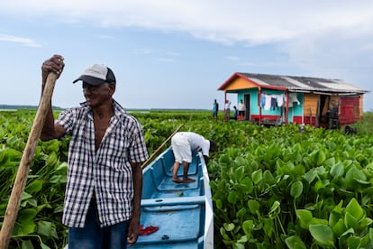 Pescadores de la Ciénaga de Santa Marta, el 11 de septiembre.