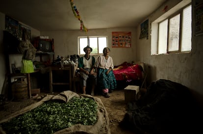 A family of coca leaf farmers in Las Yungas, Bolivia.