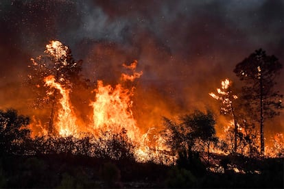 Un incendio forestal en Melloula (Túnez), cerca de la frontera con Argelia, el 24 de julio de 2023.