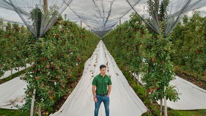 José María Fernández Estébanez, estudiante de Matemáticas, en una plantación a la que asesora la empresa en la que ha cursado la beca.