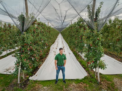 José María Fernández Estébanez, estudiante de Matemáticas, en una plantación a la que asesora la empresa en la que ha cursado la beca.