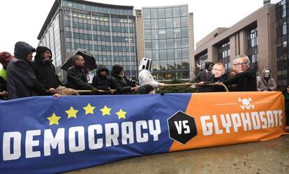 Activistas se manifiestan ante la Comisión Europea para pedir que no se apruebe la renovación del glifosato, en la mañana de este lunes en Bruselas.