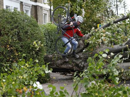 Bicicleta al hombro, un ciclista sortea los &aacute;rboles ca&iacute;dos en Isliston, al norte de Londres. 