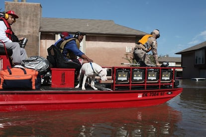 Miembros de un equipo de salvamento y voluntarios colaboran en las labores de rescate de residentes y sus mascotas tras el paso del huracán Harvey, en Houston.