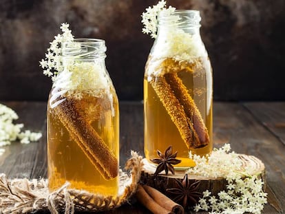 Chá de kombucha fermentado em infusão de flor de sabugueiro com canela e gengibre