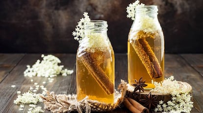 Chá de kombucha fermentado em infusão de flor de sabugueiro com canela e gengibre