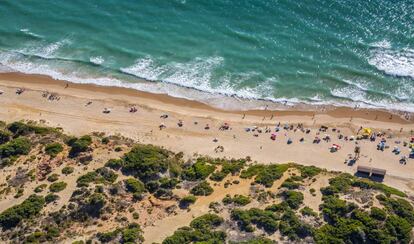 La playa y las dunas cercanas al poblado de Sancti Petri, en la costa de Cádiz.