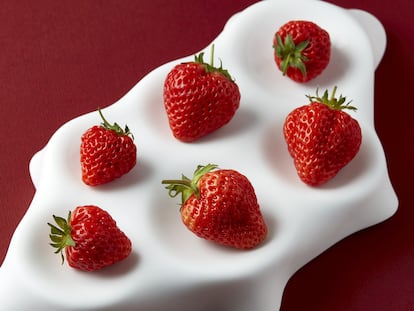 Detail of the different sizes of Oku Berry strawberries.  Image provided by Aloalto.