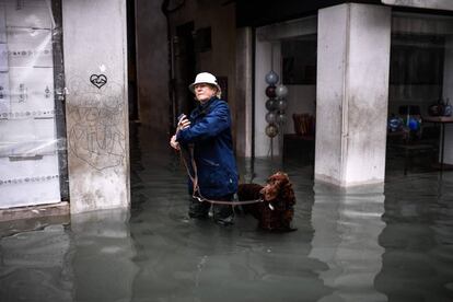 En varias zonas de la ciudad se han producido apagones, sobre todo en el Lido y en el Campo Santa Margherita, y el agua ha entrado prácticamente en todos los edificios del centro. En la imagen, una vecina de la ciudad pasea a su mascota por una calle inundada, este miércoles.